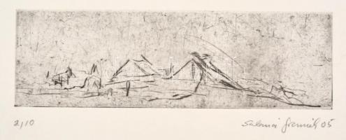 Olvashatatlan jelzéssel (Sabina Fr...?), 3 db grafikai mű: 3 db hidegtű, papír, számozott. Egyik cer...