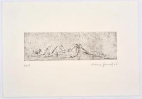 Olvashatatlan jelzéssel (Sabina Fr...?), 3 db grafikai mű: 3 db hidegtű, papír, számozott. Egyik cer...