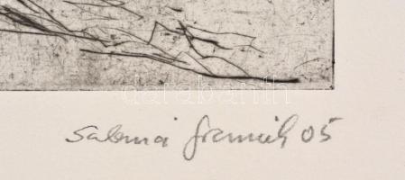 Olvashatatlan jelzéssel (Sabina Fr...?), 3 db grafikai mű: 3 db hidegtű, papír, számozott. Egyik cer...