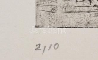 Olvashatatlan jelzéssel (Sabina Fr...?), 3 db grafikai mű: 3 db hidegtű, papír, számozott. Egyik cer...