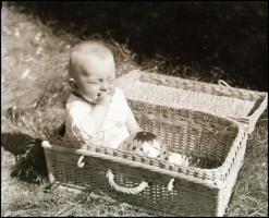 cca 1935 Thöresz Dezső (1902-1963) békéscsabai gyógyszerész és fotóművész hagyatékából  vintage NEGATÍV (Gyermek piknik kosárban), 6x9 cm