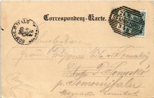 1900 Semmering, Lichtensteinhöhle / cave. C. Ledermann jr. 2632. (EK)