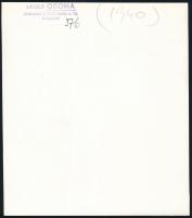 cca 1940 Osoha László (1899-1970) budapesti fotóművész hagyatékából, pecséttel jelzett, vintage fotó...