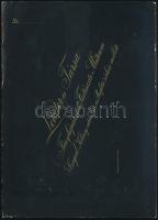 cca 1876 Szeged, Letzter és Társa fényképészeti és festészeti műtermében készült, kabinetfotó méretű...