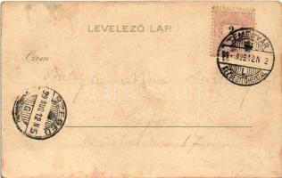 1899 Temesvár, Timisoara; Régi várkapuk. Corvina könyvkereskedés kiadása / Festungs-Tore / old castl...