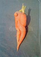 Kb 70 érdekes modern képeslap újszerű állapotú fotóalbumban