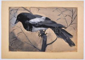 Szilágyi Ilona (1904-1985): Szarka. Akvarell, papír, vékony kartonra kasírozva, jelzett, szakadásokk...