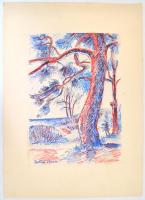 Szilágyi Ilona (1904-1985): A finn öböl parton. Filctoll, papír, vékony kartonra kasírozva, jelzett,...