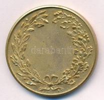 ~1900. "Rákosvidéki Postagalamb Sportegyesület" aranyozott Br sport emlékérem (40mm) T:1-