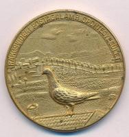 ~1900. "Rákosvidéki Postagalamb Sportegyesület" aranyozott Br sport emlékérem (40mm) T:1-