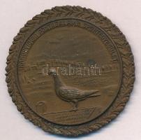 ~1900. "Rákosvidéki Postagalamb Sportegyesület" Br sport emlékérem (48mm) T:1-