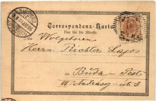 1898 Linz, Das neue Museum / new museum (EK)