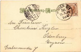 1898 Wien, Vienna, Bécs I. Stefansdom / cathedral. Schwanhausser  (EK)