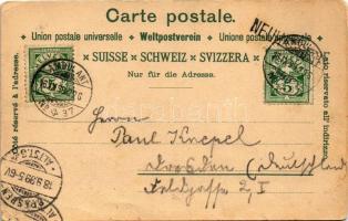 1899 Zürich, Rheinfall / Rhine Falls. Verlag H. Guggenheim & Co. Artist. Atelier No. 637. litho ...