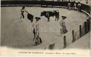 Courses de Taureaux. Entrando a Matar. Le Coup dEpée / Spanish folklore, bullfight, matadore