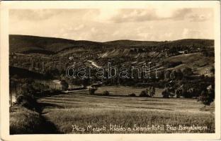 Pécs, Mecsek, kilátás a Szamárkúttól Pécs-Bányatelepre. photo