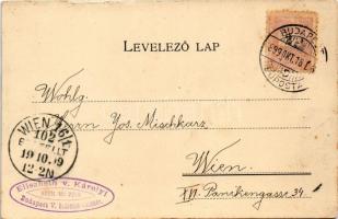 1899 Budapest, Lánchíd és a pesti oldal. Károlyi György kiadása (fl)
