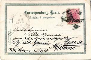 1898 Rovereto. Hermann Seibt Art Nouveau, floral, litho (tiny hole)