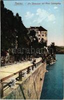 Passau, Am Donauquai mit Prinz Ludwigsteg / promenade, street view, quay. Verlag R. Brückner