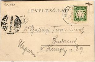 1905 Chiemsee, Schloss / Royal Palace of Herrenchiemsee, castle. photo