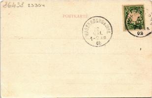 1902 Nürnberg, Nuremberg; Burg Panorama / castle. B. Lehrburger 5211. (EK)