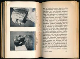 Georg Steindorff: Aegypten in Vergangenheit und Gegenwart. Berlin, 1915, Ullstein. Német nyelven. Fe...
