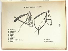 Néprajzi Közlemények. X. 1-2. Szerk.: Takács Lajos. Bp., 1965., Néprajzi Múzeum-MTA Néprajzi Kutatóc...