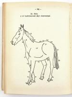 Néprajzi Közlemények. X. 1-2. Szerk.: Takács Lajos. Bp., 1965., Néprajzi Múzeum-MTA Néprajzi Kutatóc...