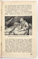 Dr. Kalmár Gusztáv: Küzdelmek a fehér halál országában II.kötet. A nagy sarkutatók szenvedései és gy...