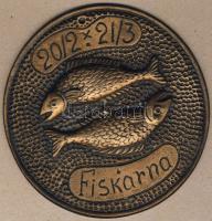 Norvégia DN "Halak csillagjegy" extrém nagyalakú Br plakett T:2 ly.