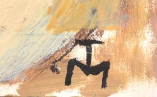 TM jelzéssel: Portré. Olaj, karton. Sérült üvegezett fa keretben, 40×30,5 cm