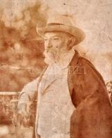 Kiss József (1843-1921) költő, szerkesztő portréja. Vintage fotó, kartonra kasírozva, Kiss Ottó fény...