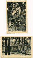 Hargita és Homoród; - 4 db régi képeslap / 4 pre-1945 postcards