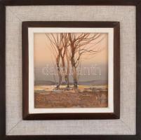 Olvashatatlan jelzéssel. Téli hajnal. Olaj, farost, fa keretben, 15x15 cm,