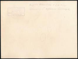 1935 Pázmány Péter Tudományegyetem 300 éves  fennállásának ünnepéről készült fotó, Kaulich Rudolf mű...