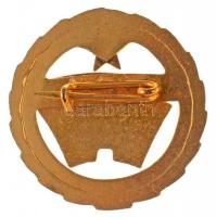 ~1960-1970. "Kiváló Pénzügyi Dolgozó" aranyozott, zománcozott fém jelvény miniatűrrel, ere...