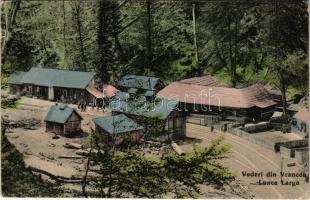 1922 Lunkalárga, Lunca Larga (Bisztra, Bistra); erdei vasútállomás, fűrésztelep, fatelep. Photogr. Hausner Jenő 4023. / Vedere din Vrancea / forest railway station, sawmill (EK)