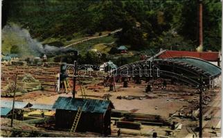 Nehoiu, Fabrica de Cherestea a Soc. Goetz. In refacere dupa incendiu / timber factory, sawmill, in recovery after the fire. Editura C. Tomescu No. 675.