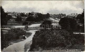 1926 Royal Tunbridge Wells, Common & Mount Ephraim (EK)