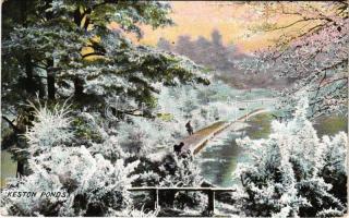 1904 Keston, Keston Ponds, winter. Earle Stationer