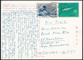 Japan 1966, Japán 1966