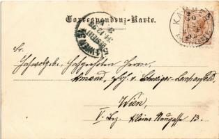 1898 Seewalchen am Attersee, general view, bridge. Verl. v. Anton Hackl