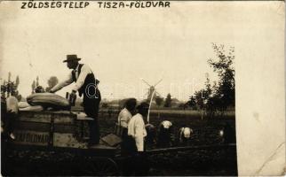 Tiszaföldvár, Zöldségtelep, szélmalom a háttérben, munkások szedik le a tököket. photo  (EB)