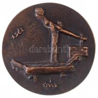 Csúcs Ferenc (1905-1999) 1962. "Koszta / 1962" Br emlékérem (84mm) T:2