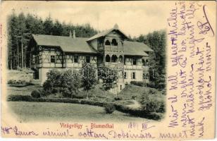 1899 Tátra, Tatry; Virágvölgy, Blumental, Kvetnica;  szálloda, nyaraló / hotel, villa (vágott / cut)