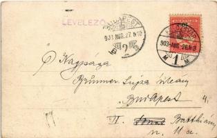 1903 Kolozsvár, Cluj; látkép a Fellegvárról / general view (kopott sarkak / worn corners)