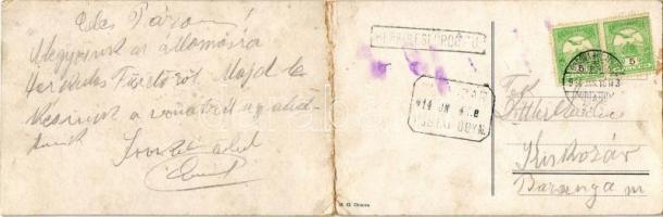 1914 Ada Kaleh, török sziget Orsova alatt. kihajtható panorámalap / Turkish island. folding panorama...