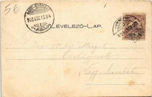 1900 Görgényszentimre, Gurghiu; M. kir. erdőőri szakiskola (Rákóczi-Bornemissza kastély), Rákóczi he...