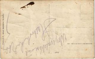 Szabadka, Subotica; nyaraló / villa. Piétsch F. photo (gyűrődés / crease)