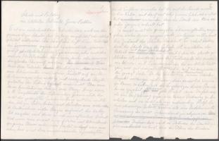 1909 Wilhelm Friedrich Ostwald (1853-1932) Nobel díjas német kémikus, a fizikai kémia úttörője autog...